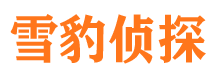 信宜市调查公司